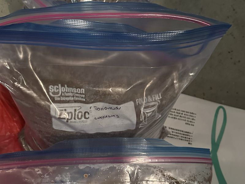 Freezer bags of dark brown soil stacked on a counter, the nearest
                  one hand-labelled in marker with a plant name and a location
                  number.